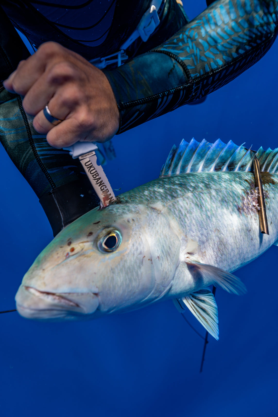 7 Seas T1 Series Titanium Dive Knife